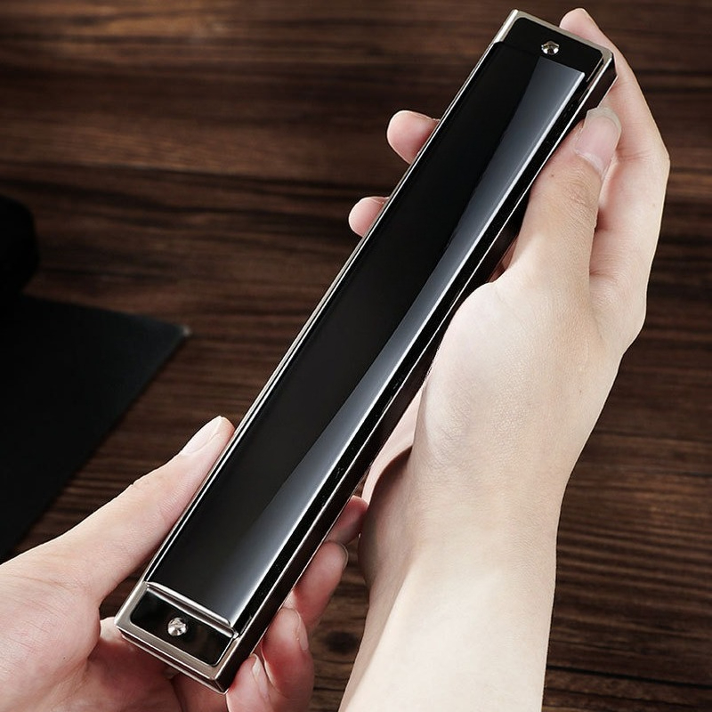 24 holes 28 holes polyphonic C - Harmonica 10 Hole ulasan dan harga