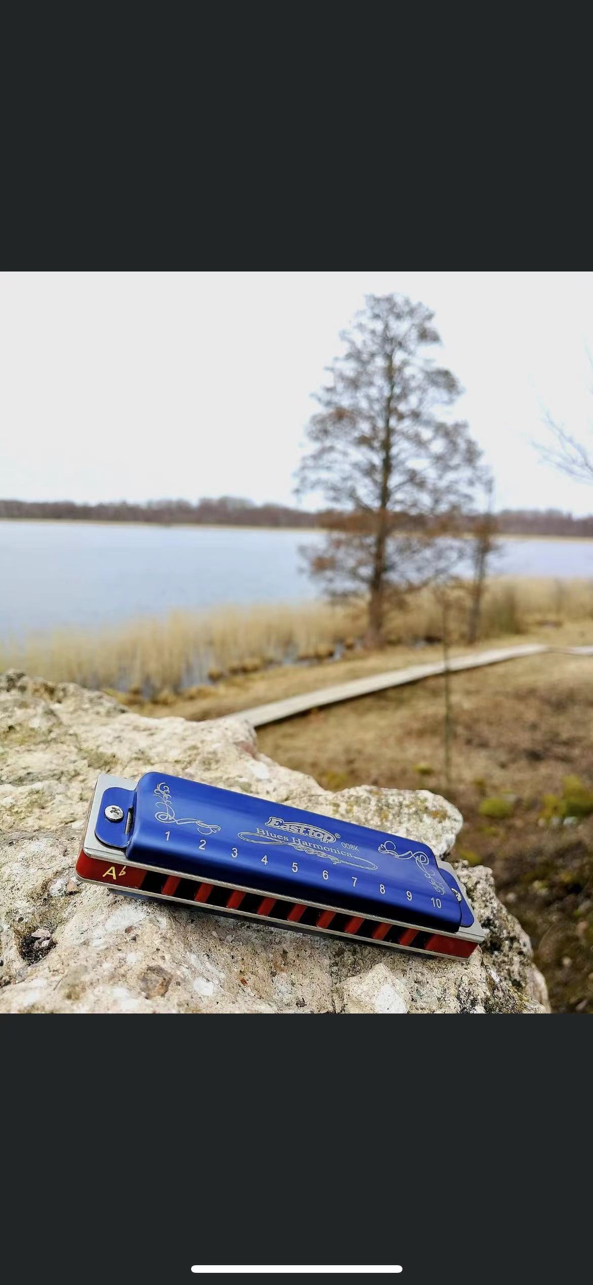 EASTTOP T008K Key of a New Blu - Harmonica 10 Hole ulasan dan harga