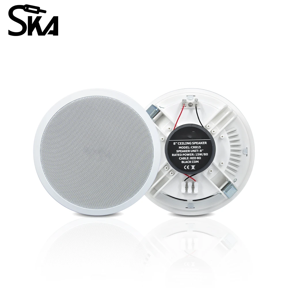 PW4420T+CR815 Smart Home Audio - Audio Music For Background ulasan dan harga