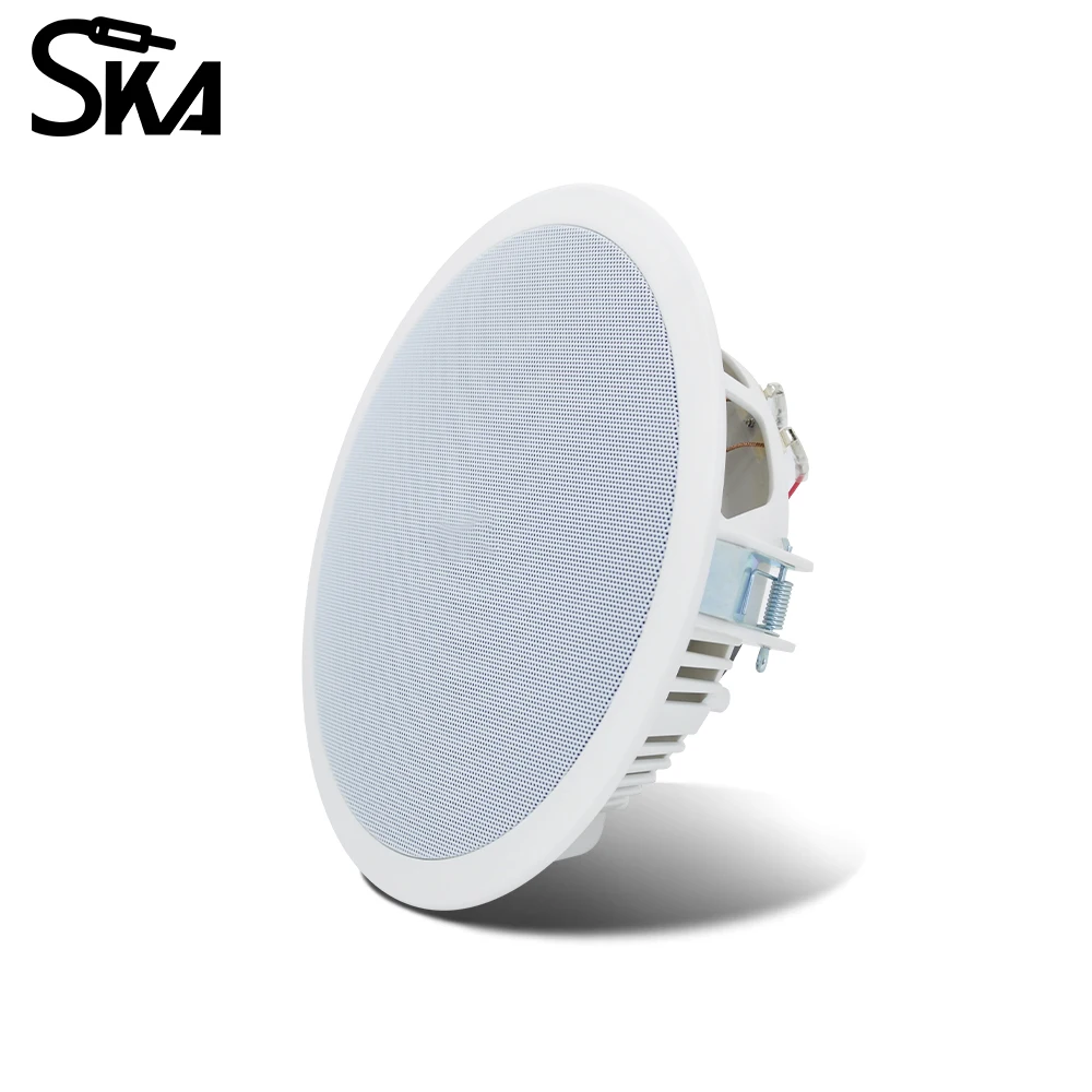 PW4420T+CR815 Smart Home Audio - Audio Music For Background ulasan dan harga