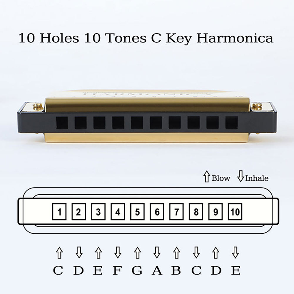 10 Hole C Harmonica Blues Harp - Harmonica 10 Hole ulasan dan harga