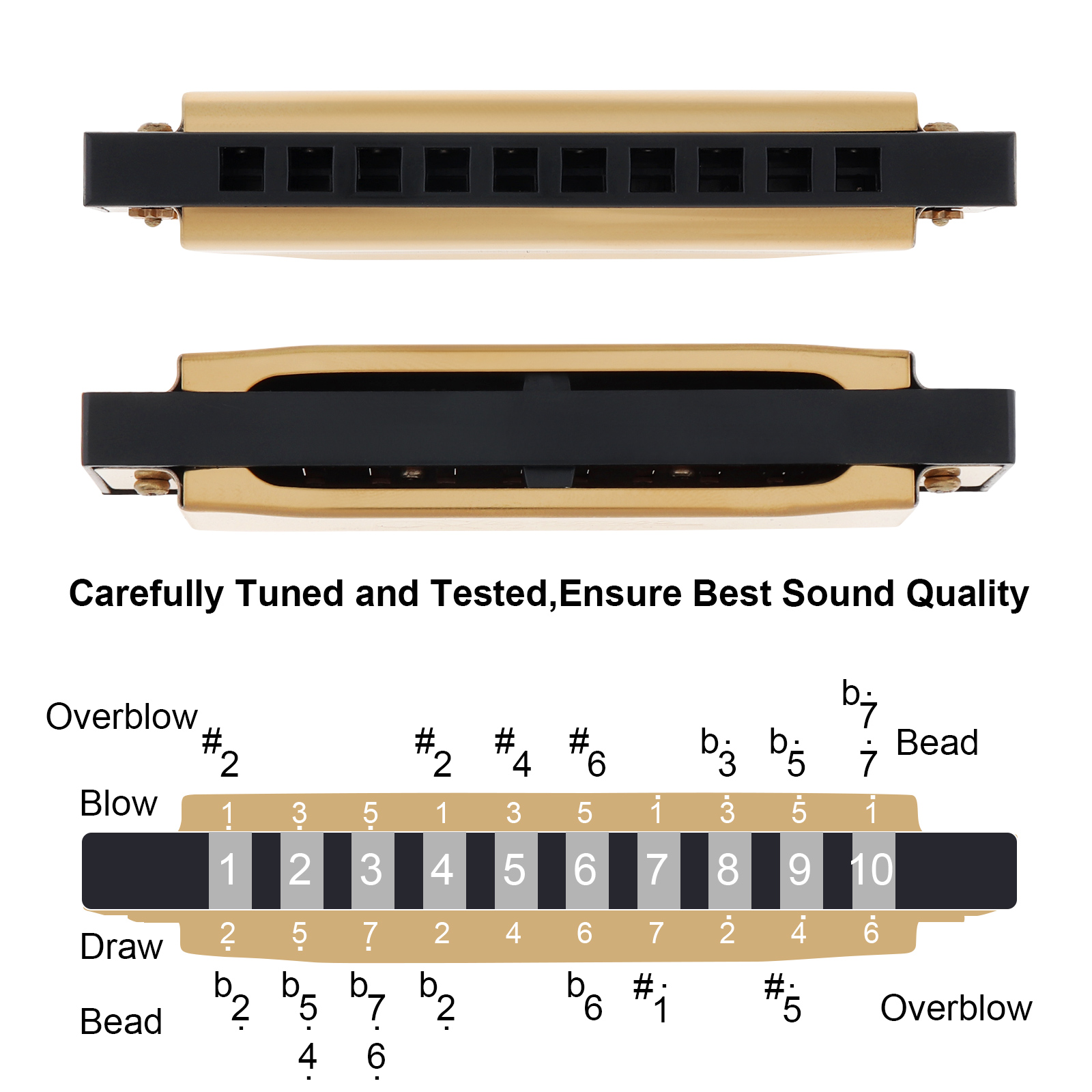 Silver / Gold KeyC 10 Hole 20  - Harmonica 10 Hole ulasan dan harga