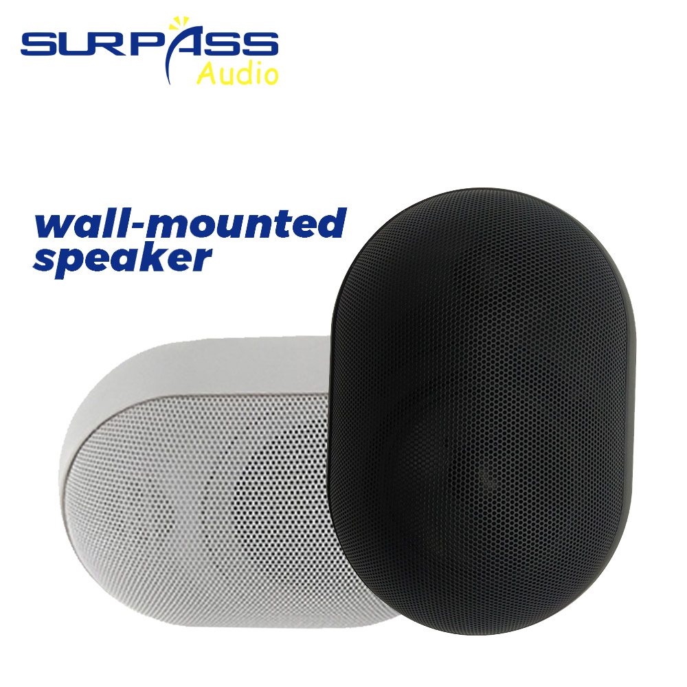 30W Wall-mounted Speaker Water - Audio Music For Background ulasan dan harga