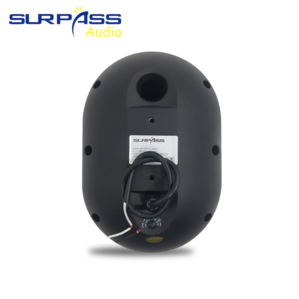 30W Wall-mounted Speaker Water - Audio Music For Background ulasan dan harga