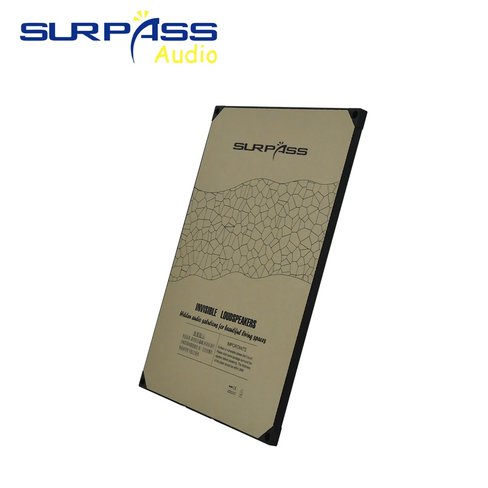 20W Invisible Indoor Speaker R - Audio Music For Background ulasan dan harga